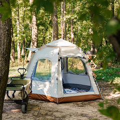 Outdoor Camping Automatic Quick Open Tent Waterproof Sunlightproof Tent