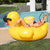 HARDLAND Giant Duck Pool Rafts & Inflatable Ride-Ons