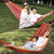 HARDLAND Portable 2 Person Cotton Canvas Hammock