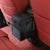 Leak-Proof Collapsible Garbage Bin for Car