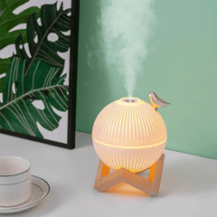 HARDLAND USB Ultrasonic Cool Mist Maker Air Humidifier with LED Warm Lamp