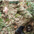 HARDLAND Outdoor Tactical Thick Camouflage Assault Pants