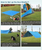 HARDLAND Lightweight Hammock Tarp Awning Canopy with Poles
