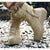 HARDLAND Men’s Mid-Rise Hiking Trekking Outdoor Boots